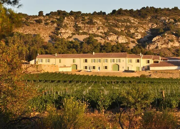 Domaine De Saint-obre