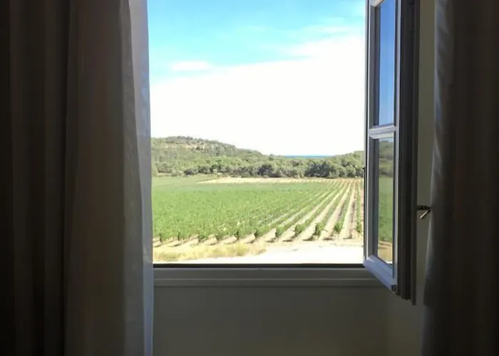 Domaine De Saint-obre